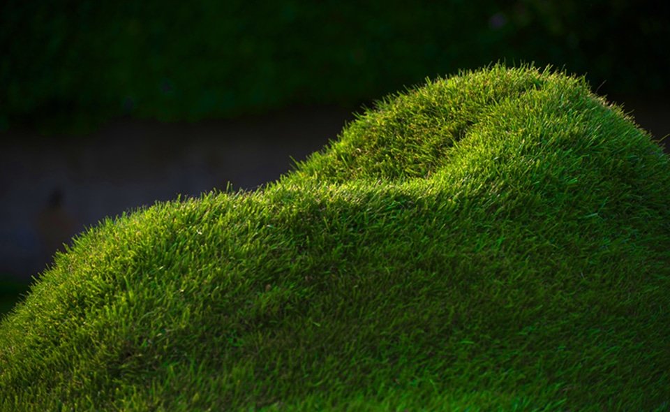 Terra Chair เก้าอี้