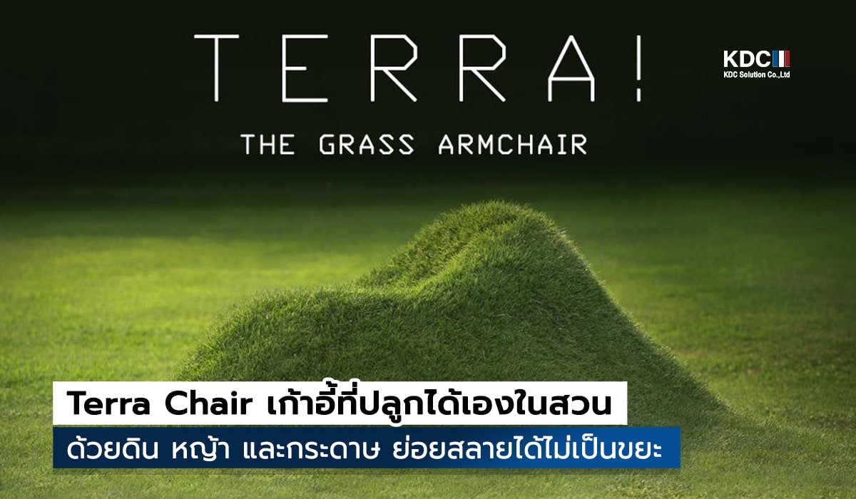 Terra Chair