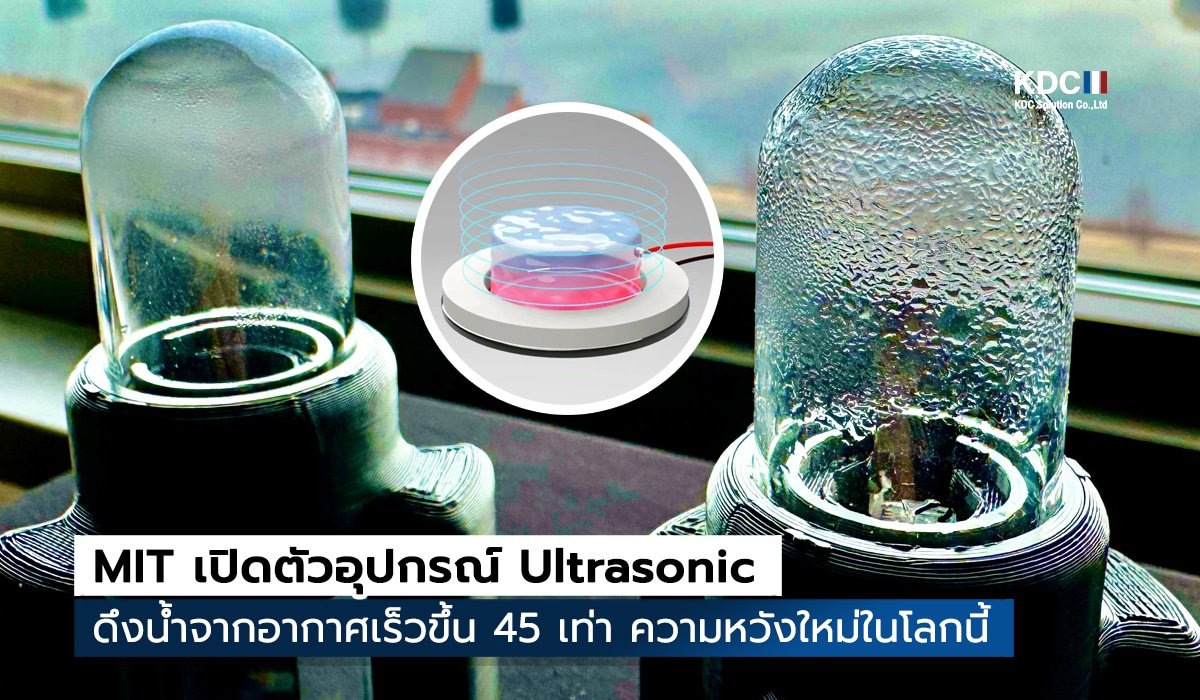 Ultrasonic