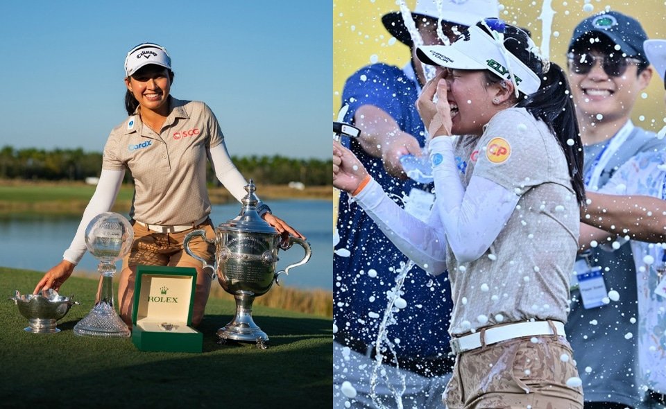 ขนาดรูปเรื่อง web 24.2.4