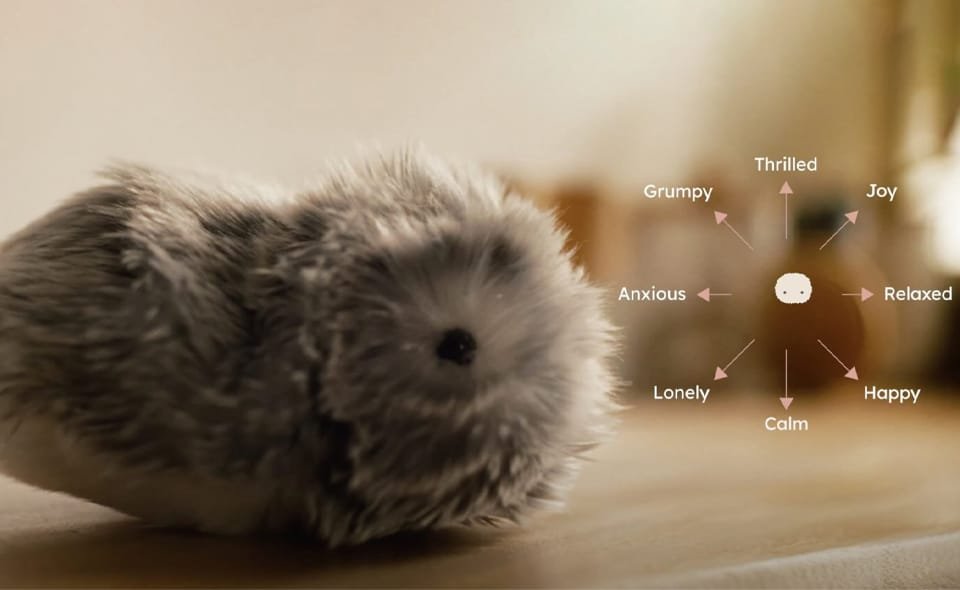 ขนาดรูปเรื่อง web 4.2.2