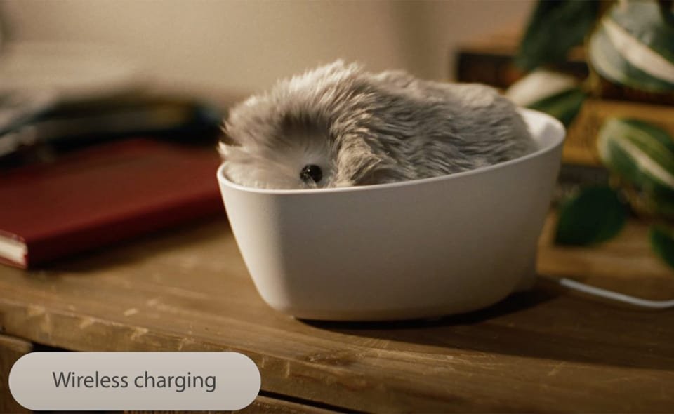 ขนาดรูปเรื่อง web 4.2.3