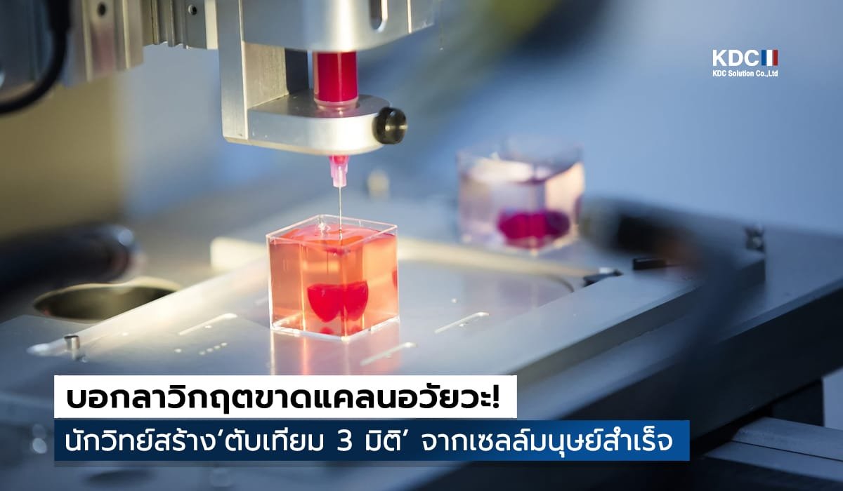 3D Bioprinting