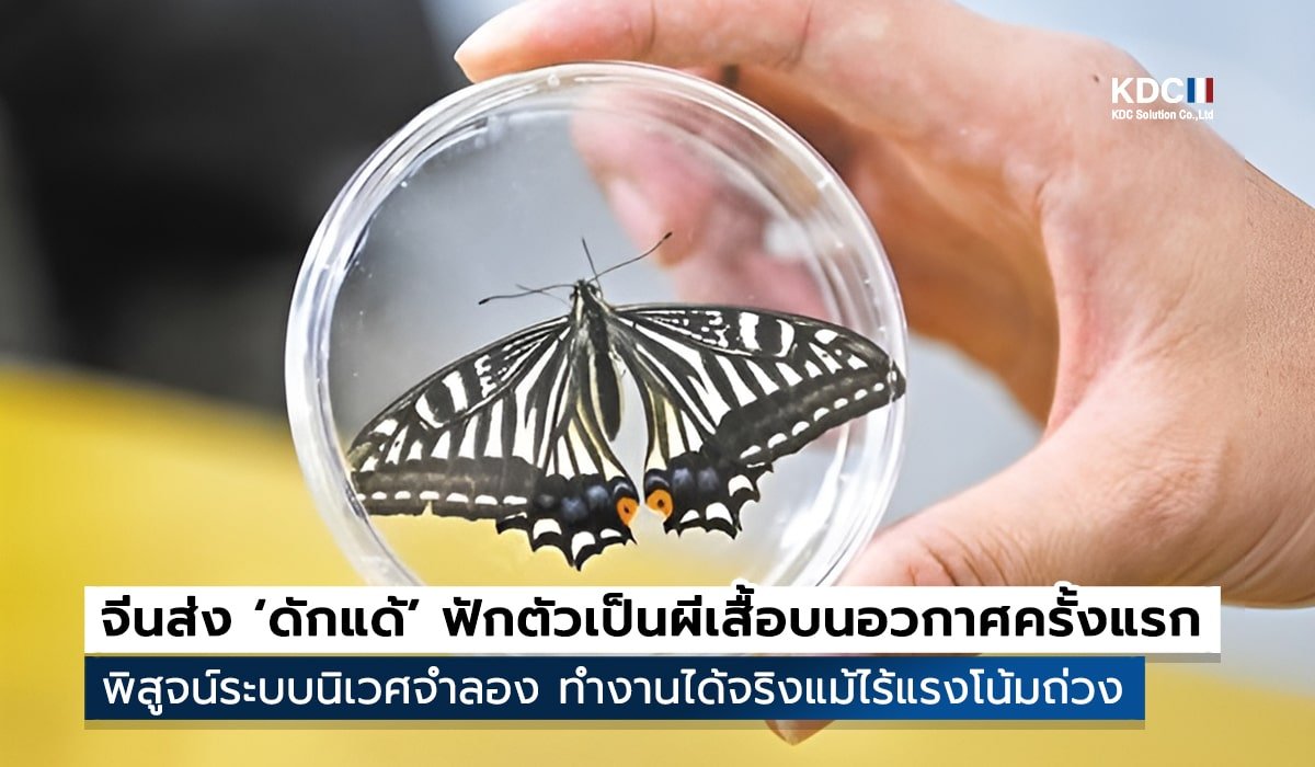 Chongqing University