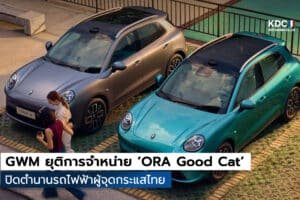 ORA Good Cat
