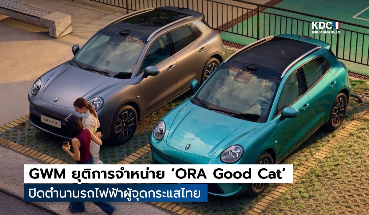 ORA Good Cat