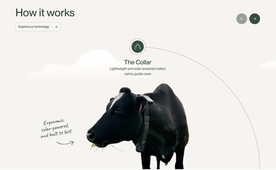 ขนาดรูปเรื่อง web 25.2.0