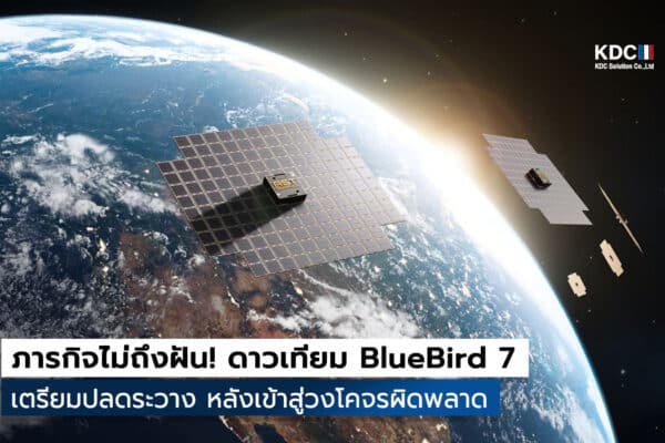 BlueBird 7