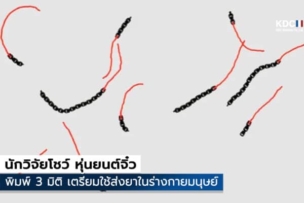 microrobot