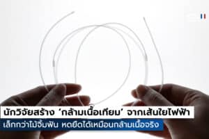 นักวิจัย MIT