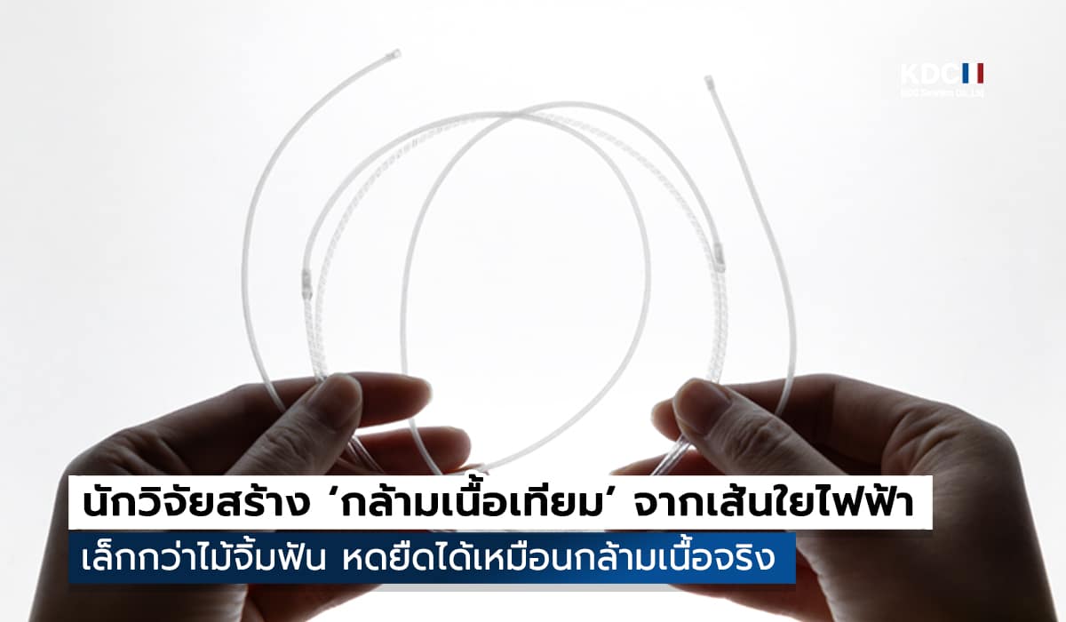 นักวิจัย MIT