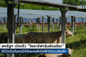 CattleTracker