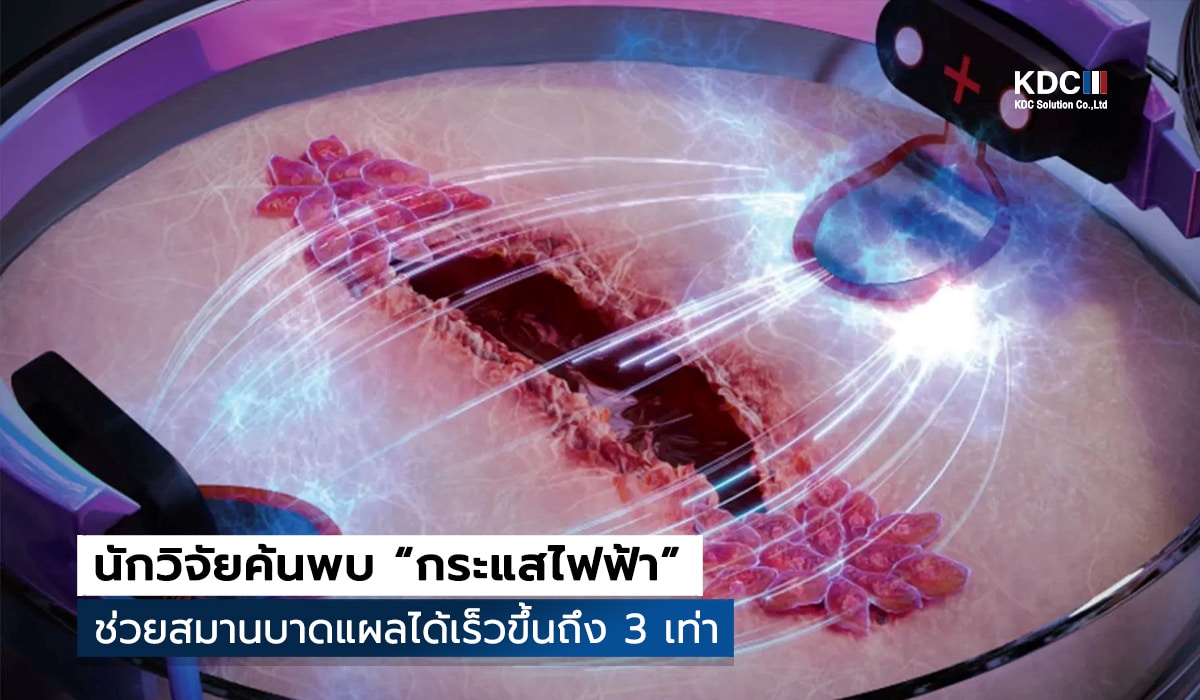 Electrotaxis