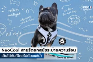 NeoCool