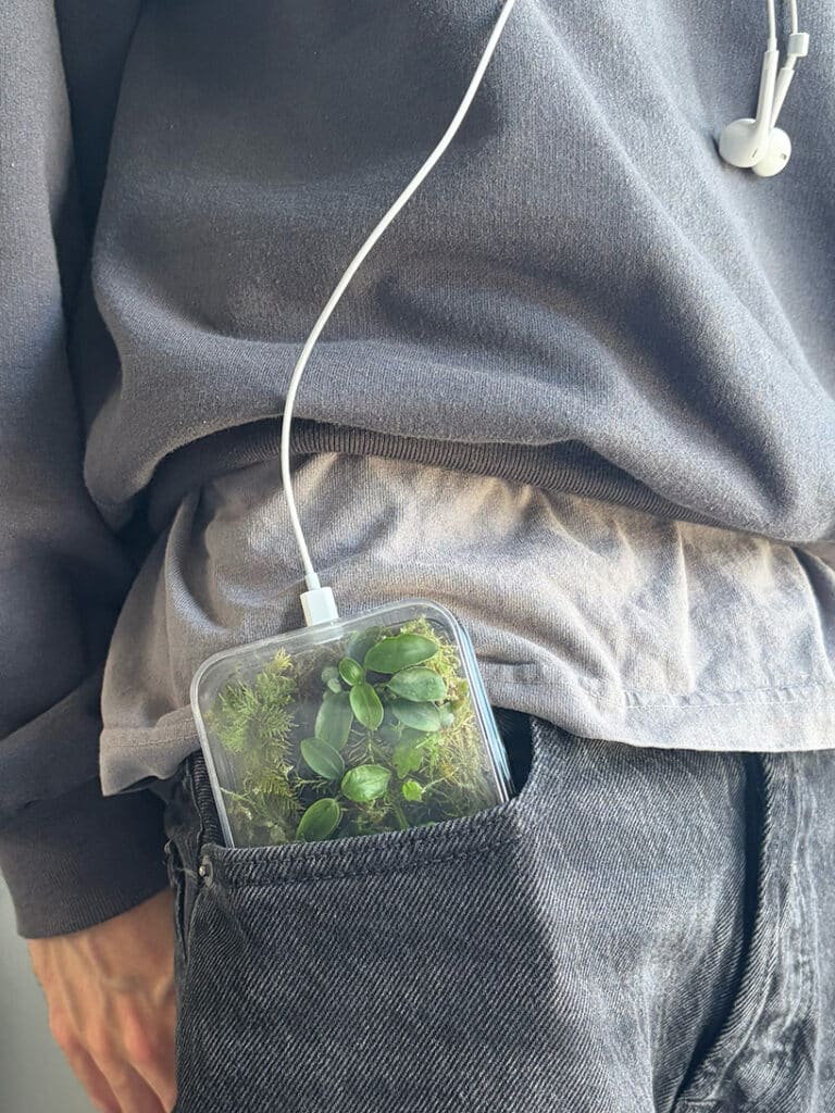 terrarium phone case 1 69f9b7a402a05