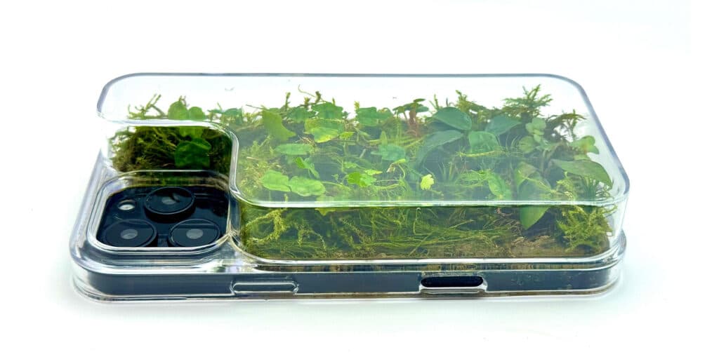 terrarium phone case daniel idle planted environment smartphone designboom 1800 3