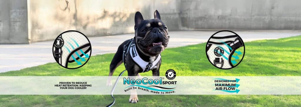 เปิดตัว NeoCool