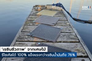 เรซินชีวภาพ
