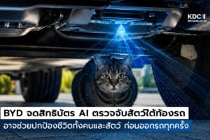 BYD