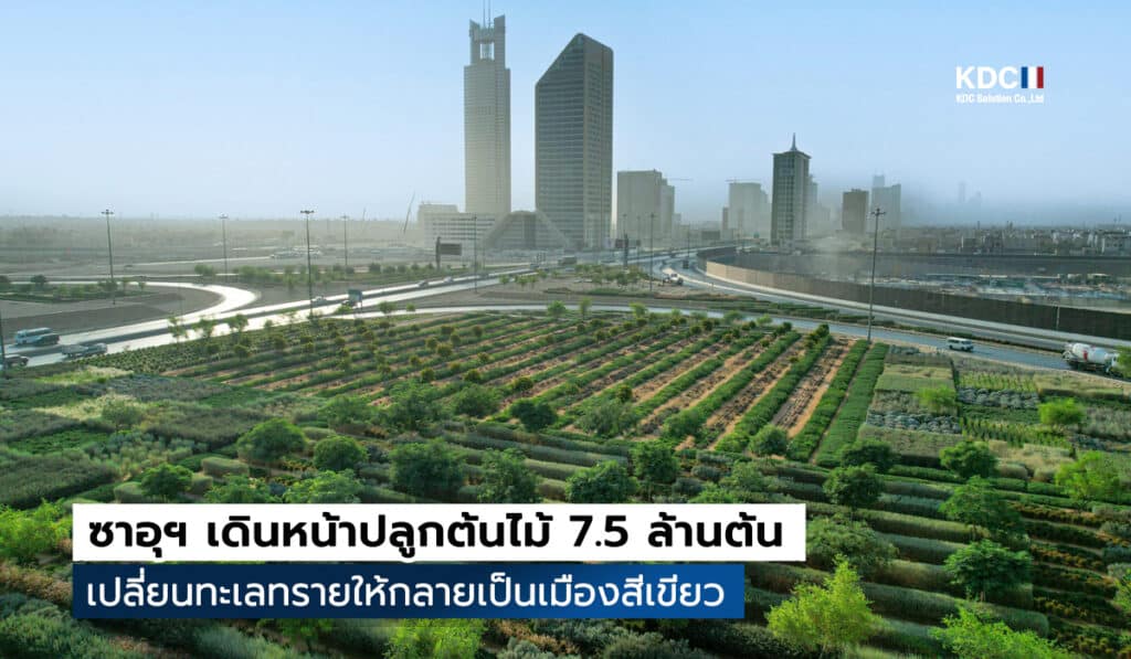 Green Riyadh โครงการปลูกต้นไม้ 7.5 ล้านต้น ของซาอุดีอาระเบีย