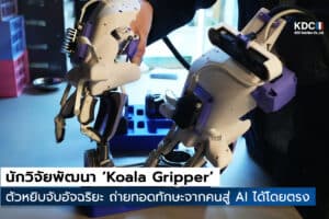 Koala Gripper