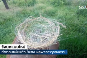 Optical Fiber