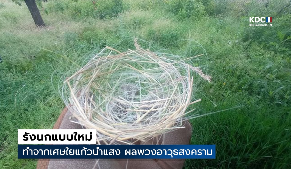 Optical Fiber