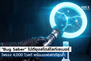 Bug Saber