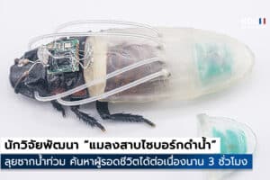 Cyborg cockroaches