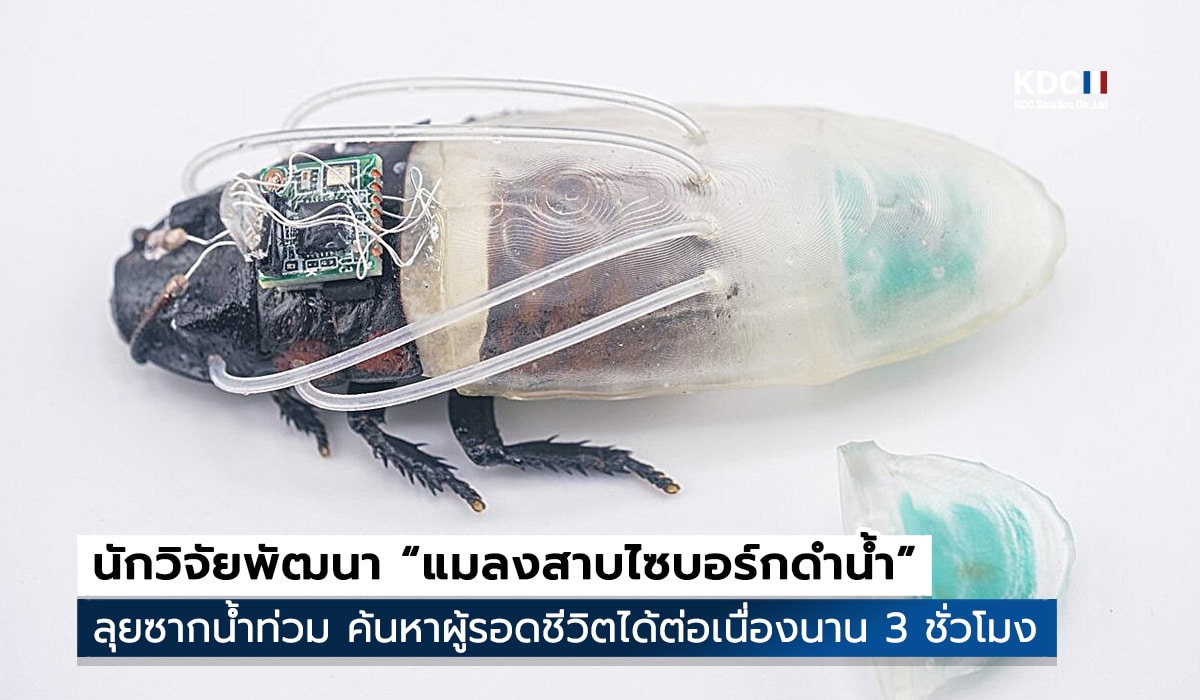 Cyborg cockroaches