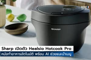 Healsio Hotcook Pro