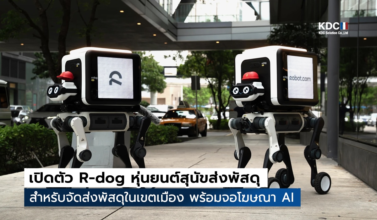 R-dog