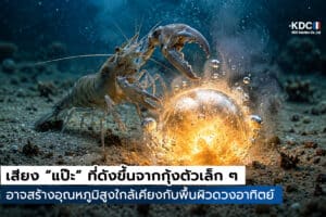 Snapping Shrimp