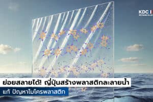 Supramolecular