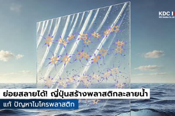 Supramolecular