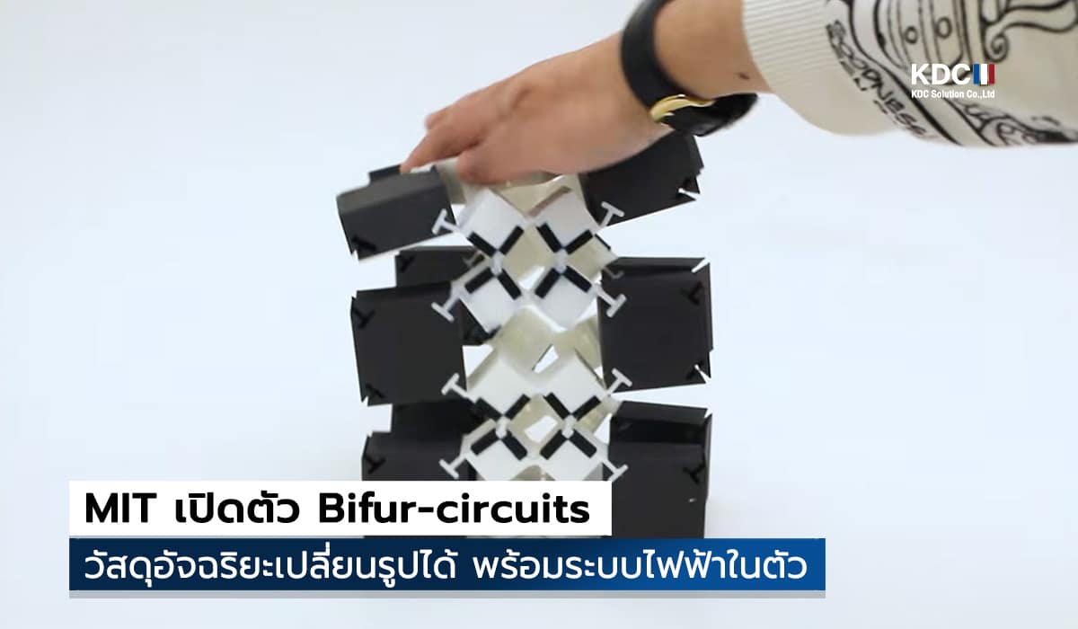 Bifur-circuits