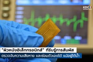 Electronic Skin