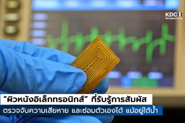 Electronic Skin
