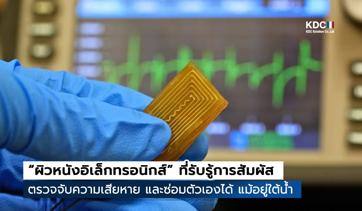 Electronic Skin