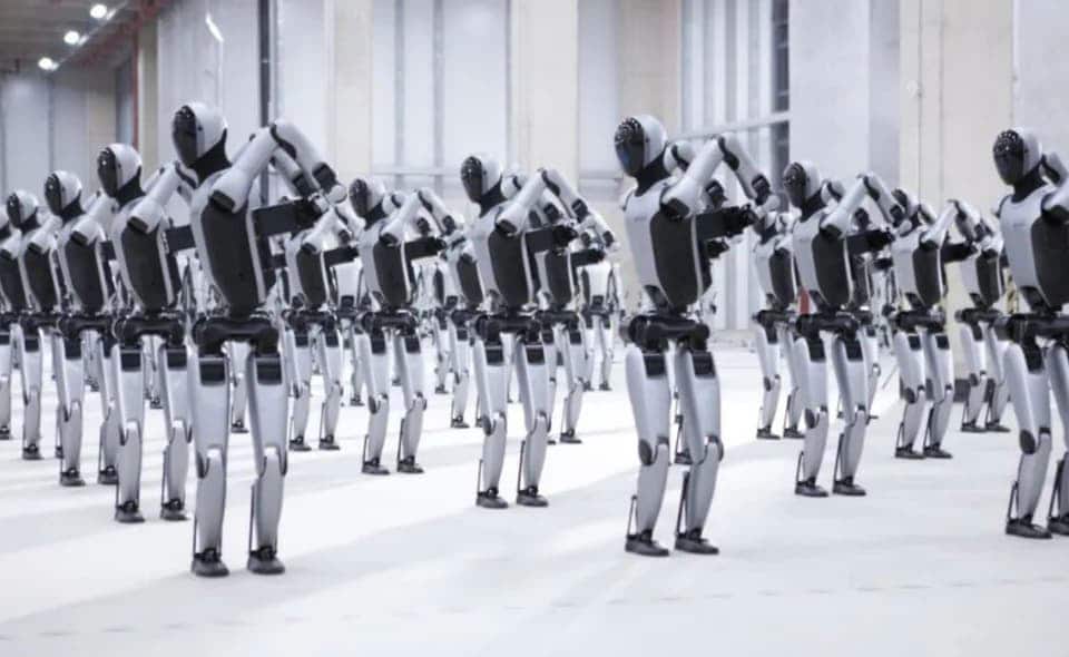 Humanoid Robot