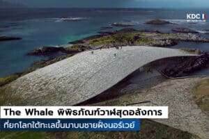The Whale