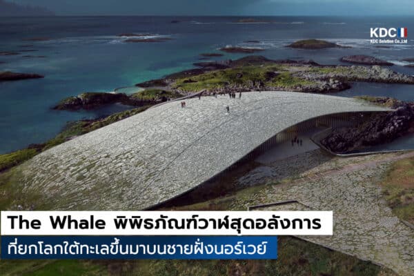The Whale