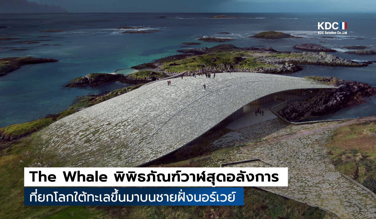 The Whale
