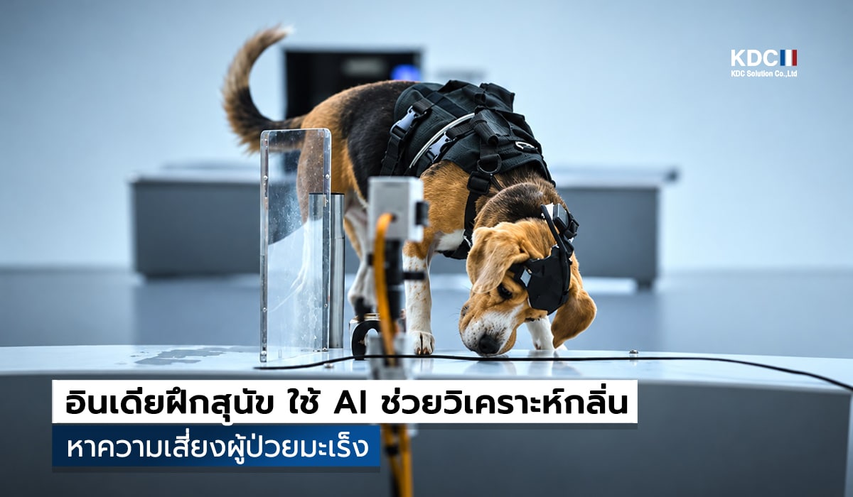 Dognosis