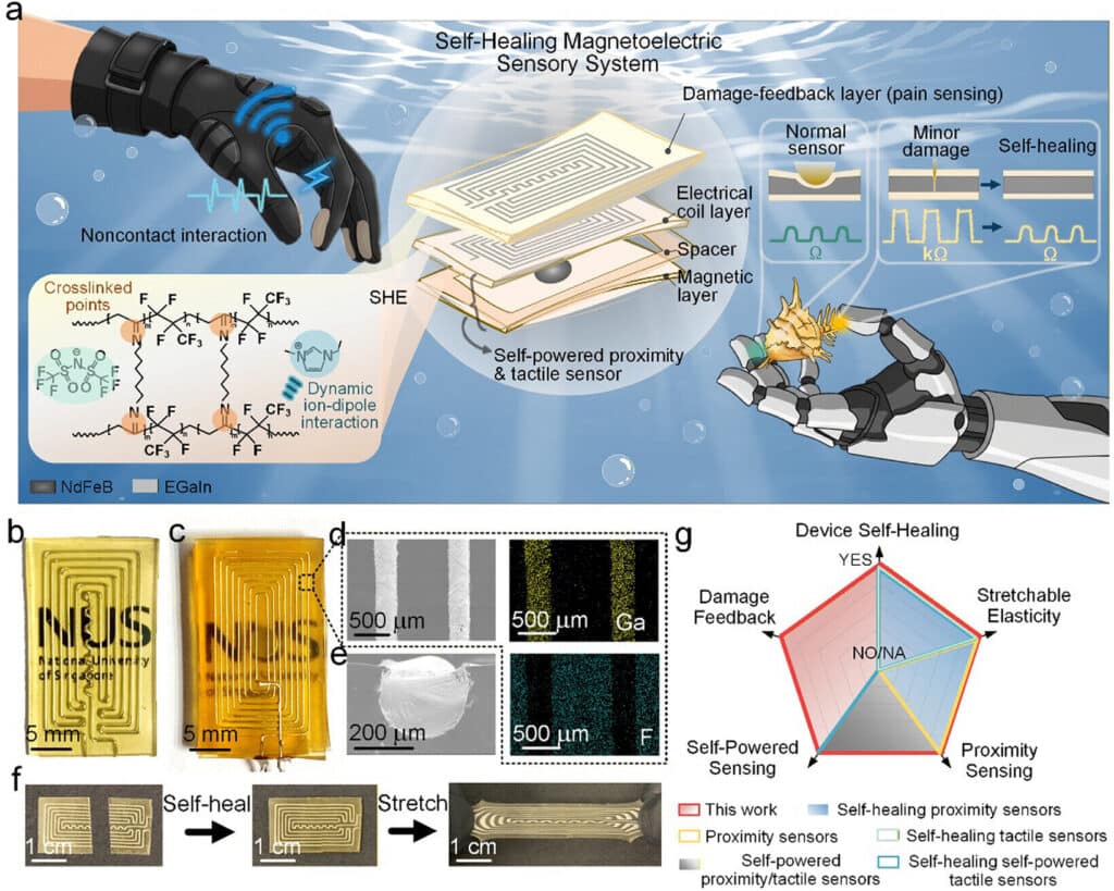 researchers develop el 1