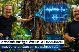 AI Bombadil