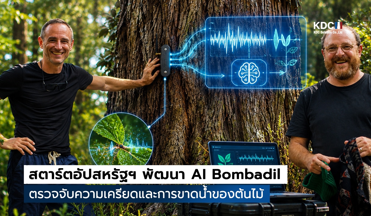 AI Bombadil