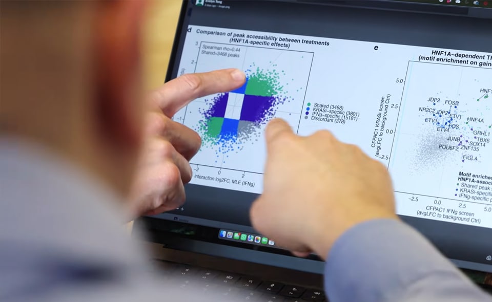 Microsoft เปิดตัว Quine
