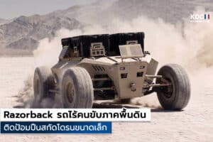 Razorback