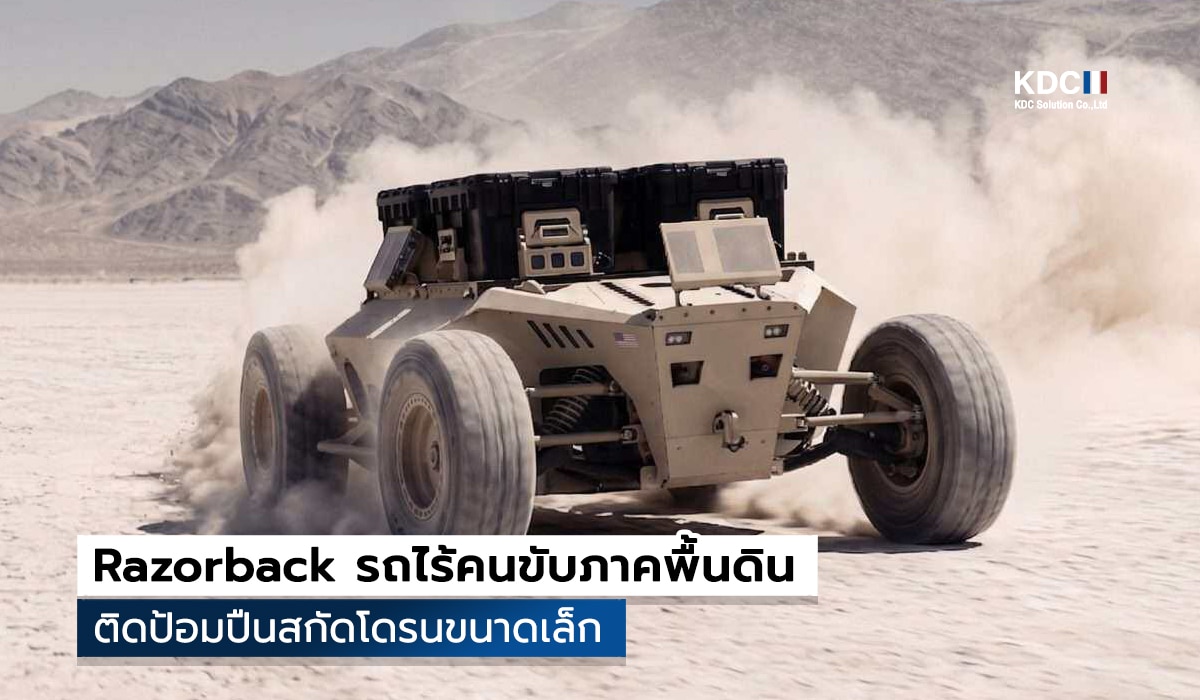 Razorback